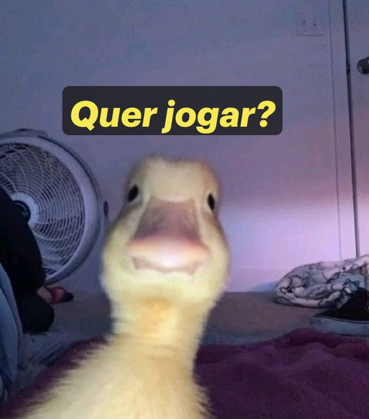 Quer jogar?